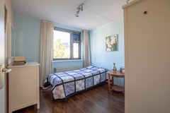 Zeester 43-27.jpg